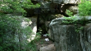 PICTURES/Rock City - Lookout Mountain, GA/t_White Fallow Deer5.JPG